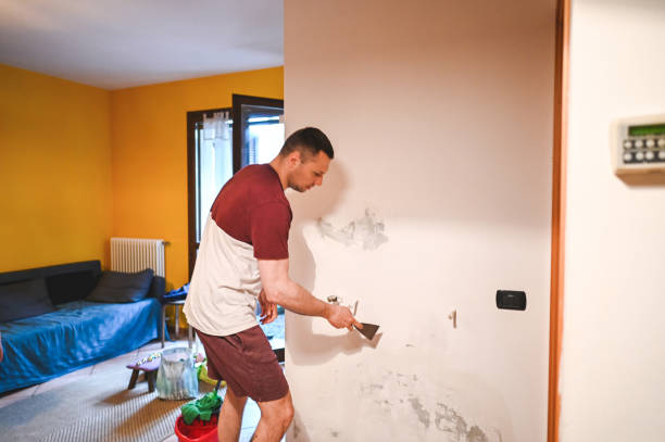 Best Fast Mold Removal  in Muskego, WI
